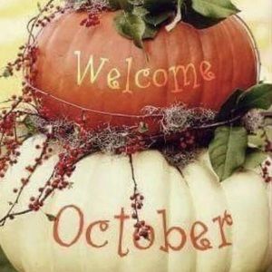 Meet your Posher, Ashley danny